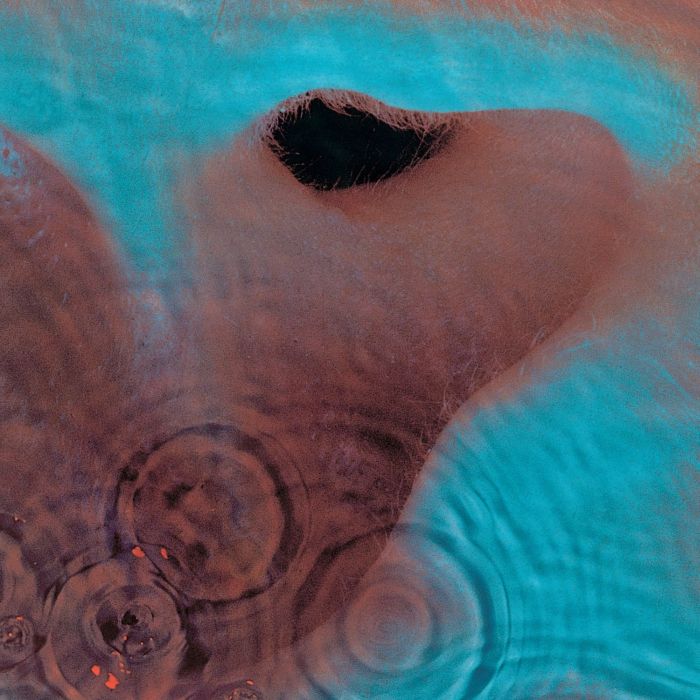 Pink Floyd - Meddle (2016 180g remastered gatefold reissue) (Euro.) - Vinyl - New