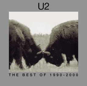 U2 - Best Of 1990-2000, The (2018 2LP gatefold reissue) - Vinyl - New