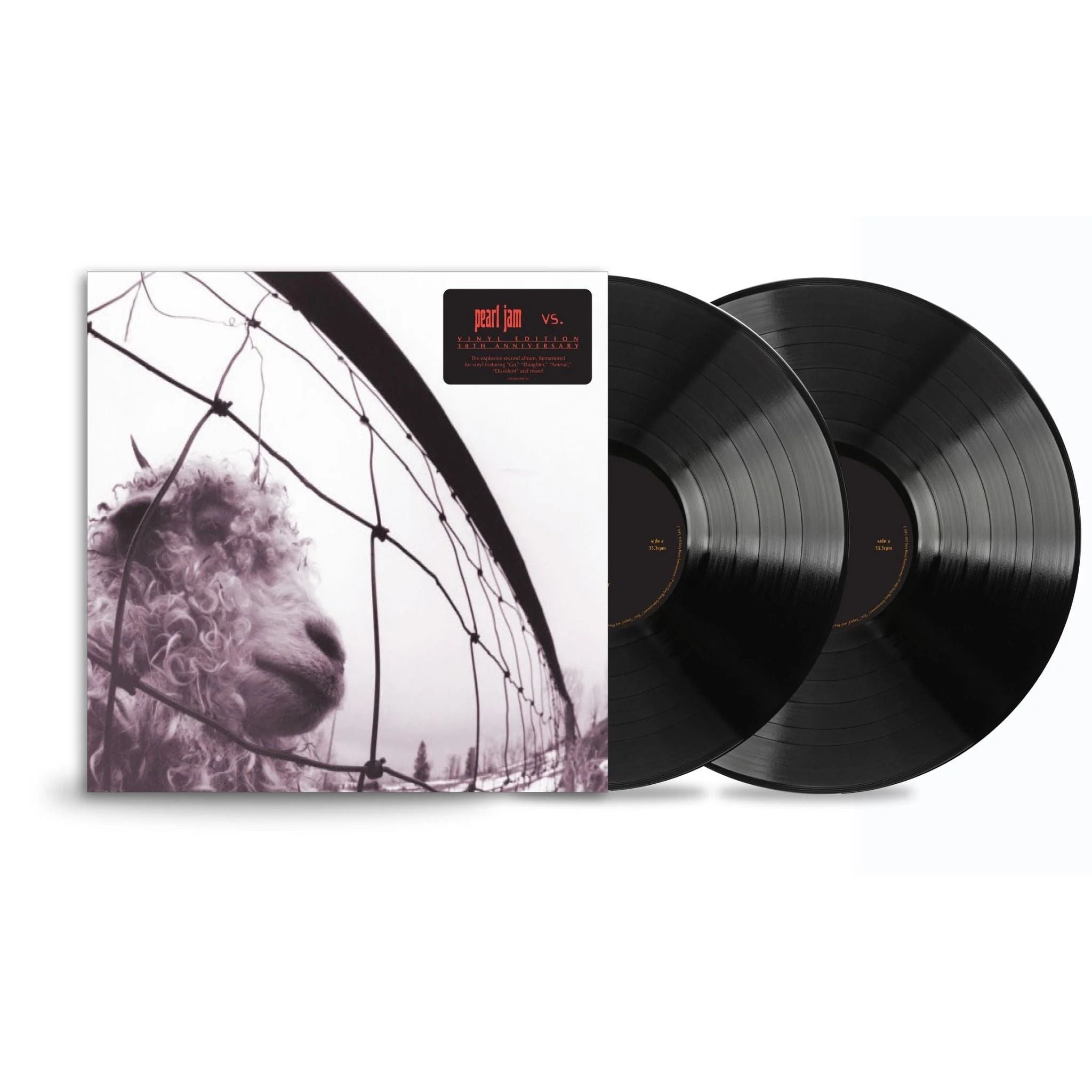 Pearl Jam - Vs. (30th Anniversary Ed. 2023 2LP gatefold reissue) - Vinyl - New