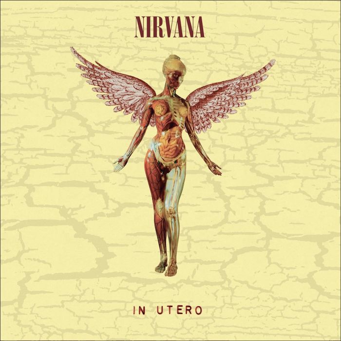 Nirvana - In Utero (30th Anniversary Super Deluxe Ed. 180g 8LP Box Set) - Vinyl - New