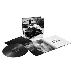 Gilmour, David - Luck And Strange (gatefold) - Vinyl - New