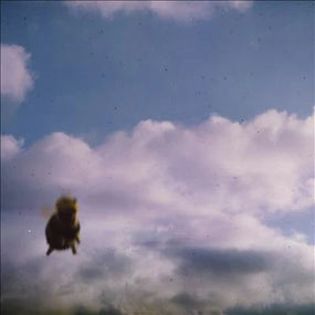 Pond - Stung! - CD - New