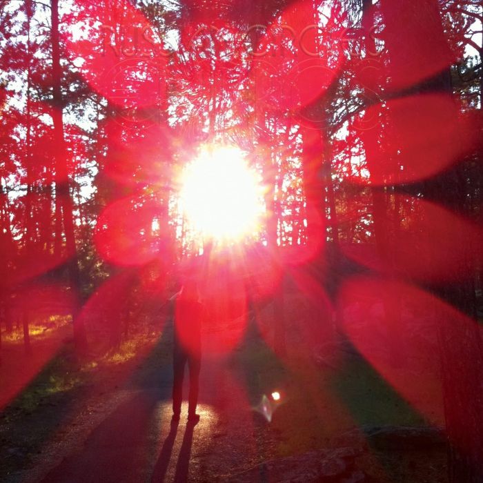 Russian Circles - Empros (2024 Indie Exclusive Clear with Red, Silver, Magenta Splatter vinyl gatefold reissue) - Vinyl - New