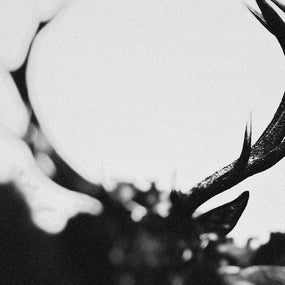 Ihsahn - Ihsahn: Orchestral (2024) (Ltd. Ed. Hardbook CD) - CD - New