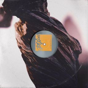 Pixies - Night The Zombies Came, The - Vinyl - New