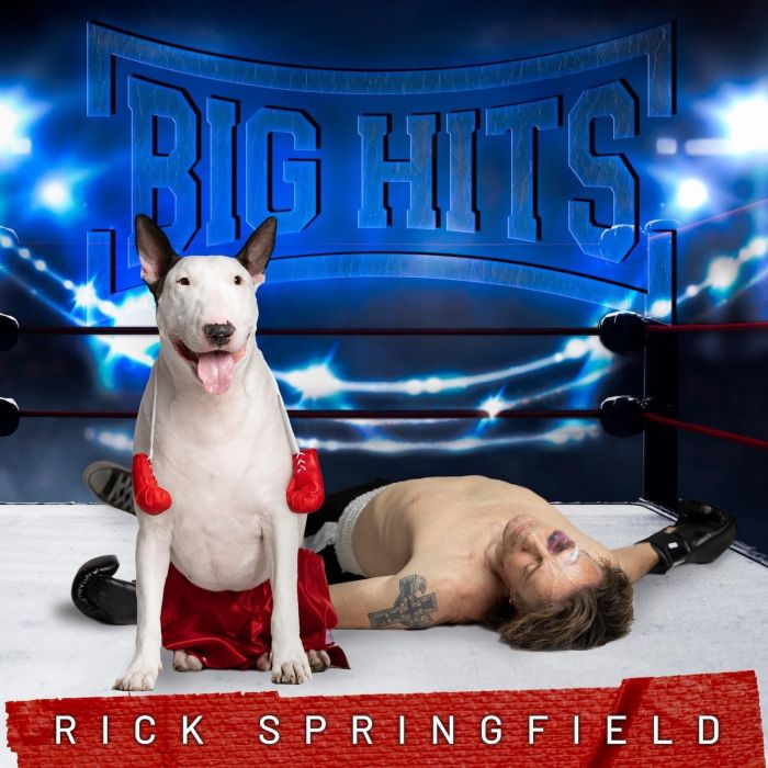 Springfield, Rick - Big Hits: Greatest Hits Volume 2 - CD - New