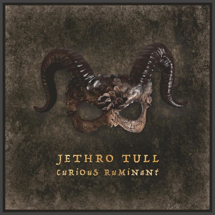 Jethro Tull - Curious Ruminant (180g gatefold) (U.S.) - Vinyl - New