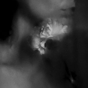 Holding Absence - Holding Absence - CD - New