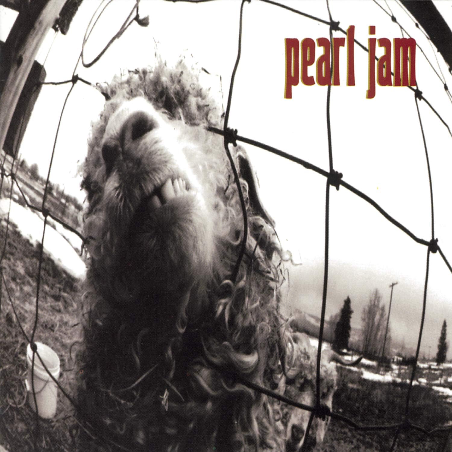 Pearl Jam - Vs. (U.S.) - CD - New