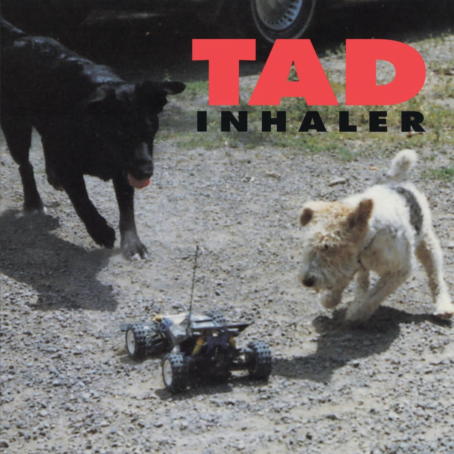 Tad - Inhaler (2025 reissue) - CD - New