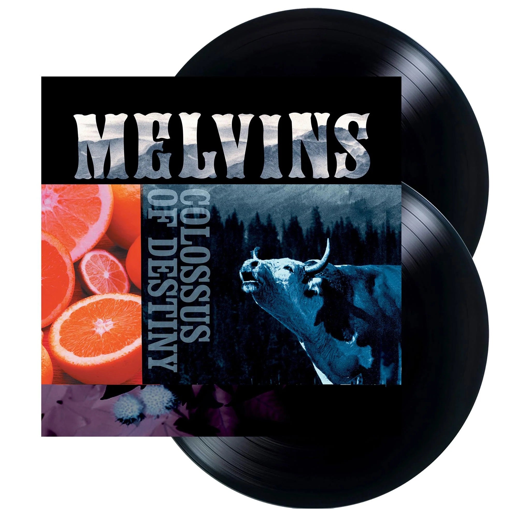 Melvins - Colossus Of Destiny (2025 2LP reissue) - Vinyl - New