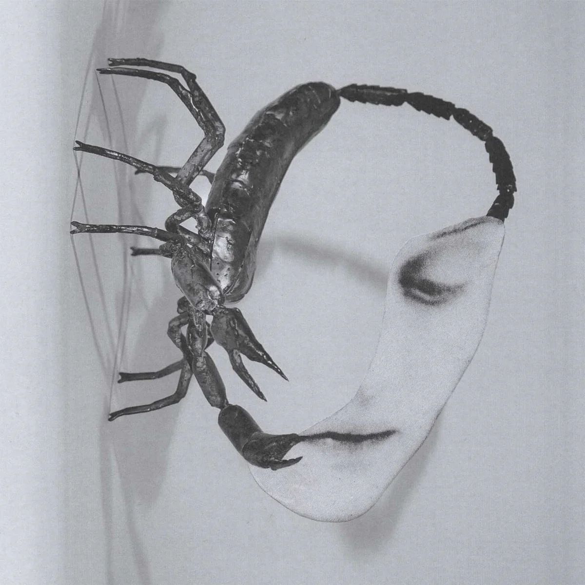 Tortoise - Touch - CD - New