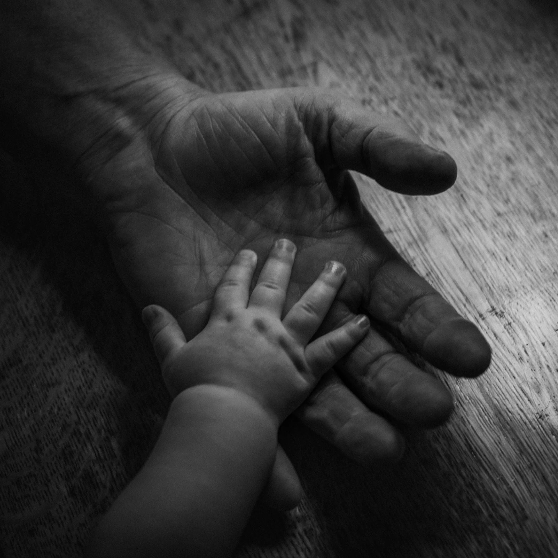 No Apologies - Life - Vinyl - New