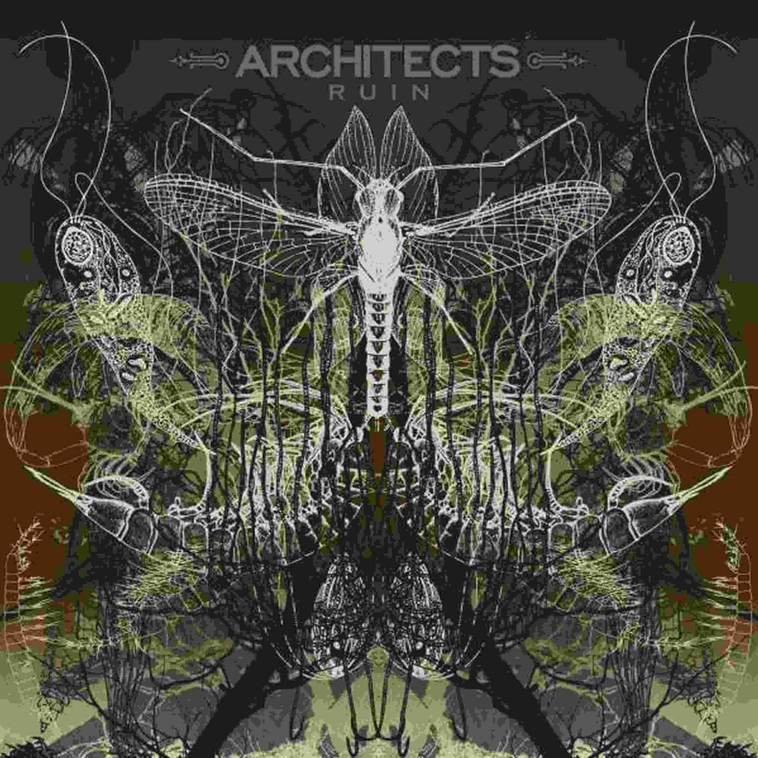 Architects - Ruin (2022 gatefold reissue with bonus track) - Vinyl - New