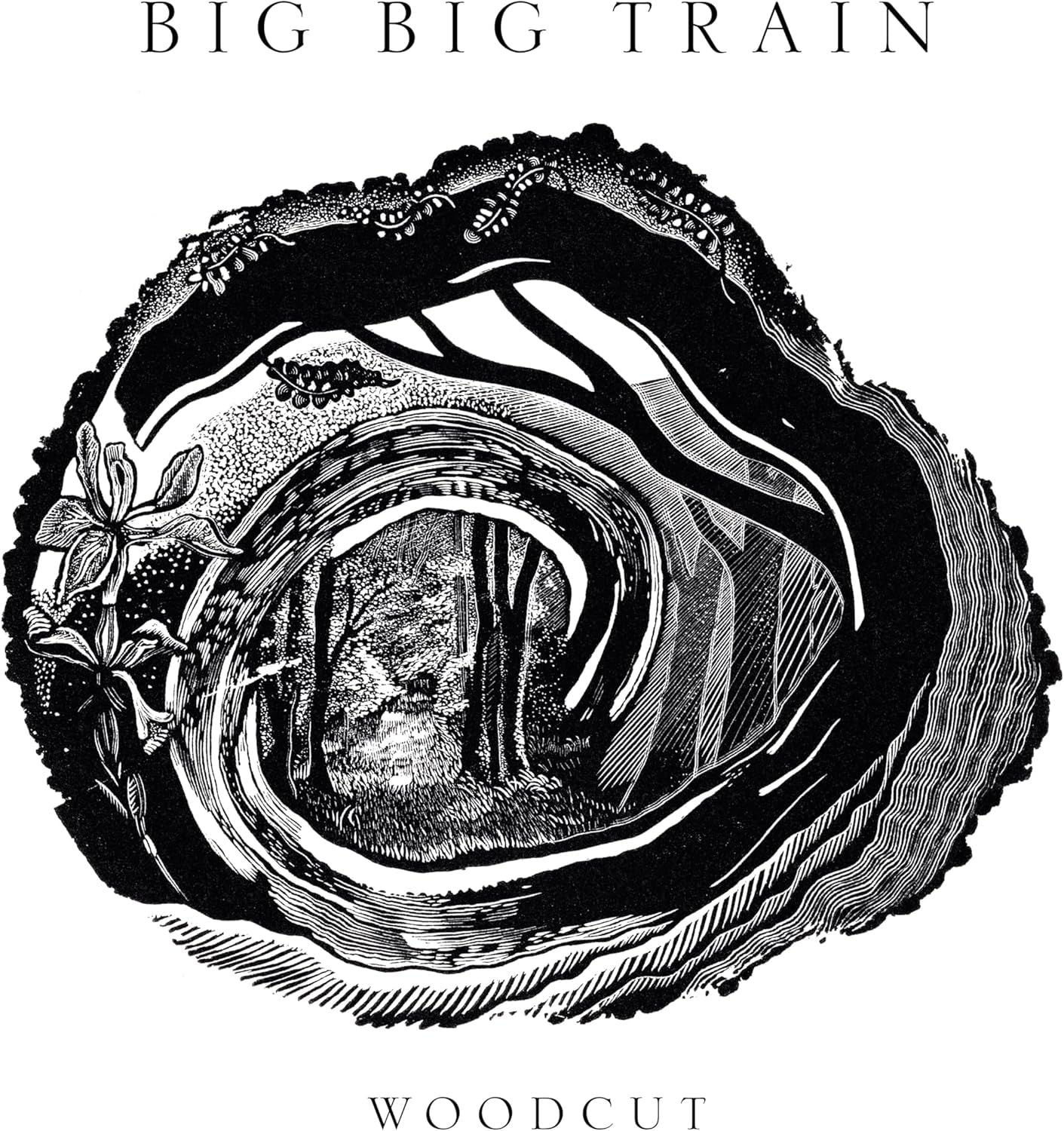 Big Big Train - Woodcut - CD - New