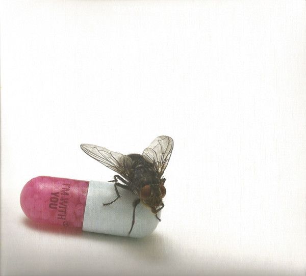 Red Hot Chili Peppers - I'm With You - CD - New