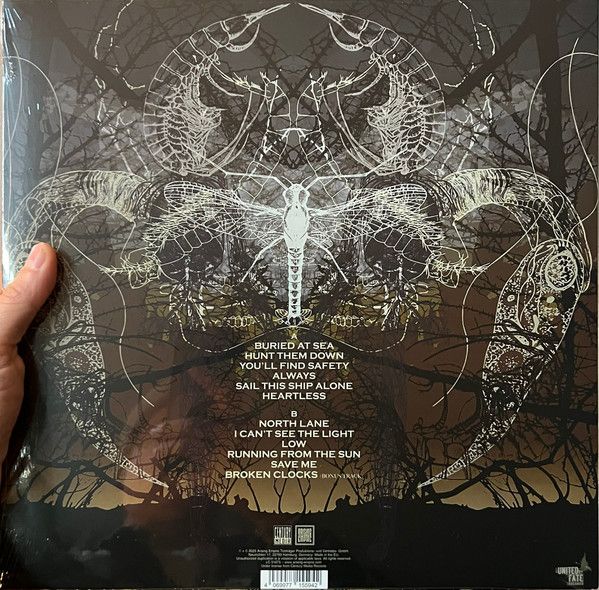 Architects - Ruin (Ltd. Ed. 2025 Picture Disc reissue) - Vinyl - New