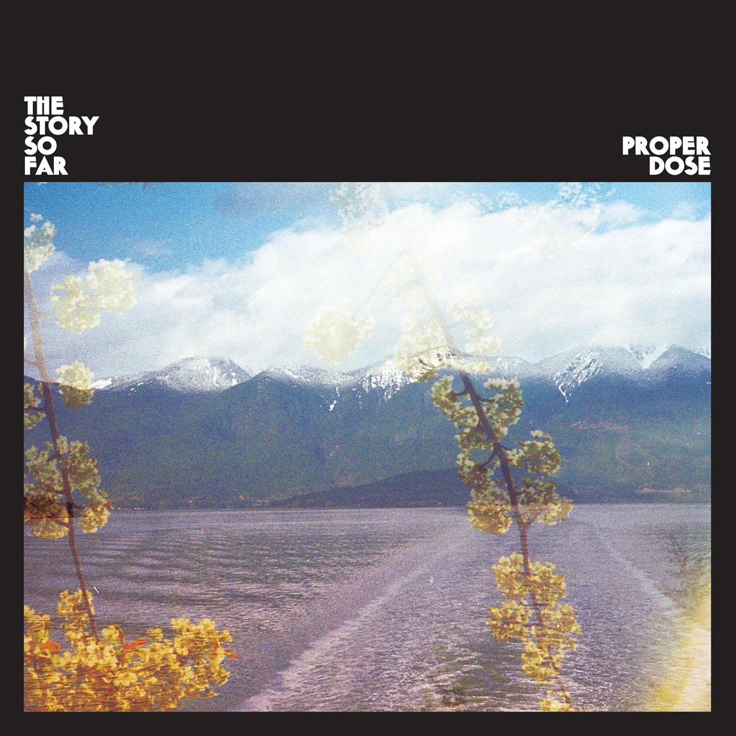Story So Far - Proper Dose (Ltd. Ed. 2026 Smores Marble vinyl gatefold reissue) - Vinyl - New