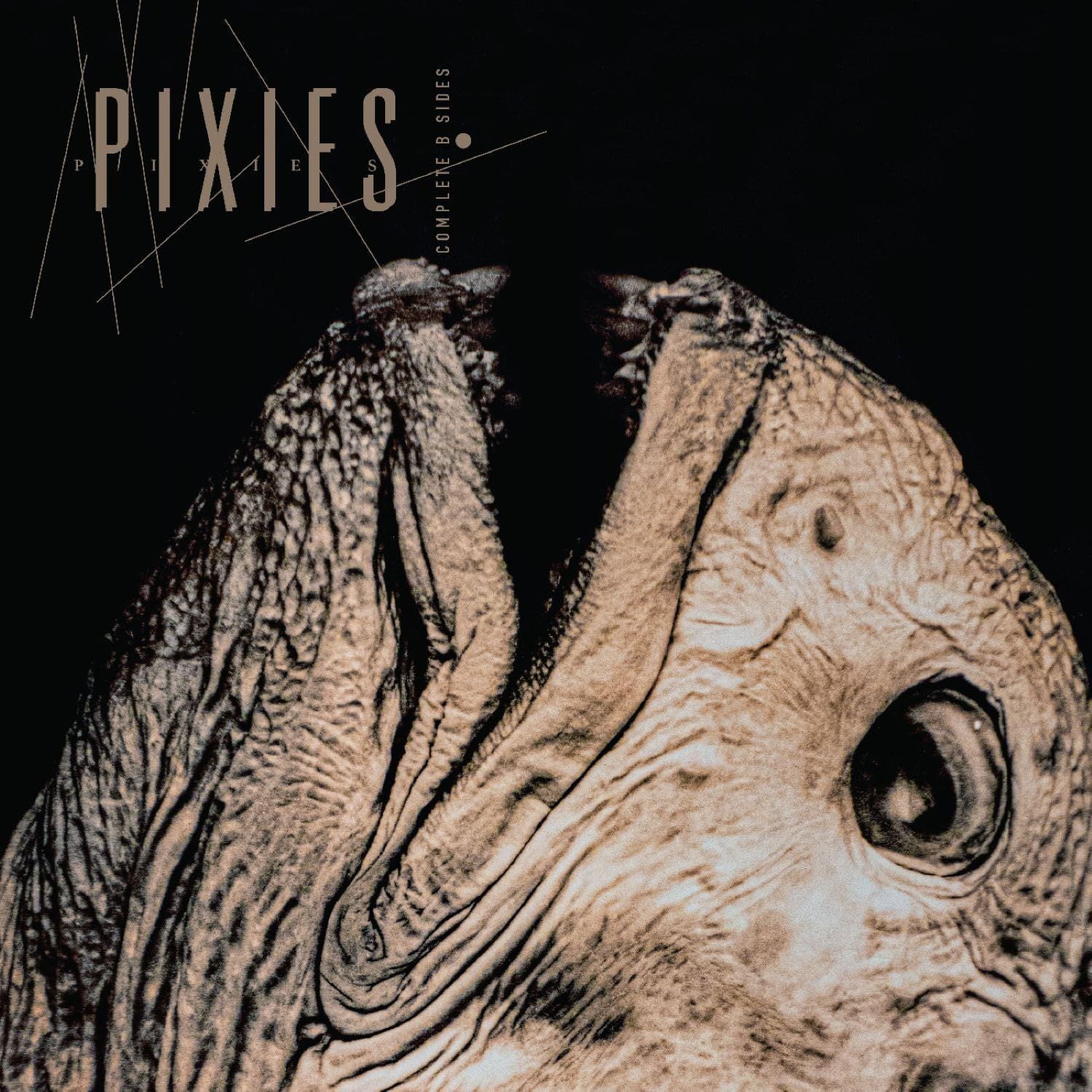 Pixies - Complete B Sides 1988-97 (2026 2CD remastered reissue) - CD - New