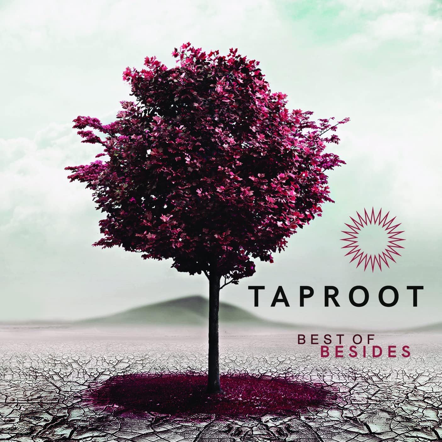 Taproot - Best Of Besides (Digipak) - CD - New