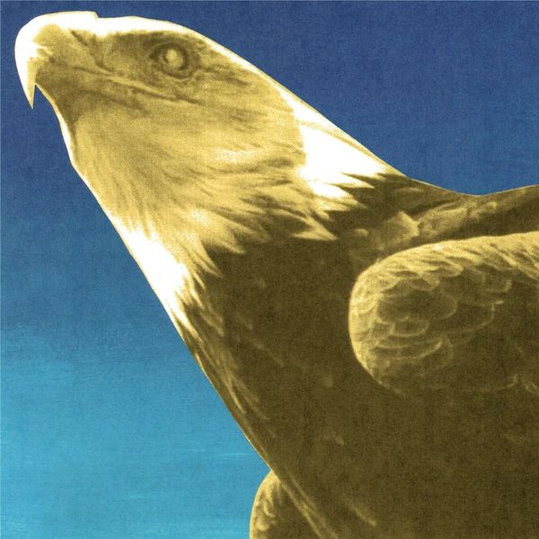 Protomartyr - Hotel Usona (Digipak) - CD - New
