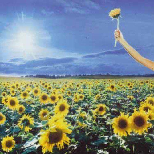 Stone Temple Pilots - Thank You - CD - New