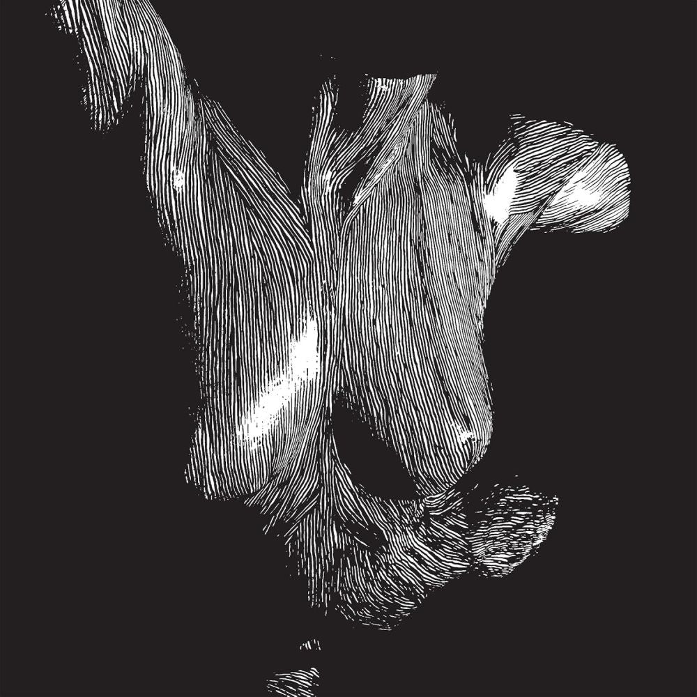 Oceansize - Self Preserved While The Bodies Float Up (Remastered 2CD Edition) - CD - New