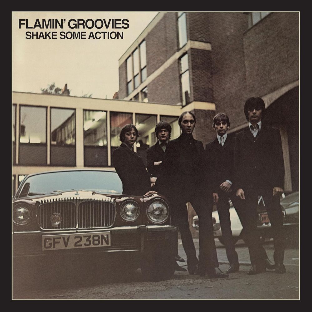 Flamin' Groovies - Shake Some Action (50th Ann. Spirit Of '76 2LP Ed.) - Vinyl - New