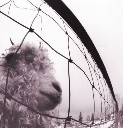 Pearl Jam - Vs. (180g gatefold - Legacy Vinyl Ed.) - Vinyl - New