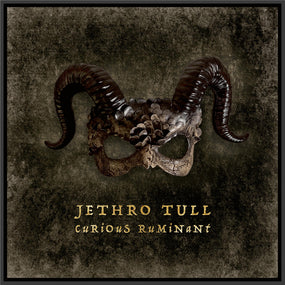 Jethro Tull - Curious Ruminant (Special Ed. digipak) - CD - New