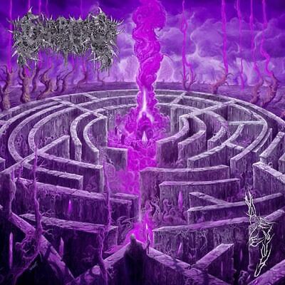 Civerous - Maze Envy - CD - New