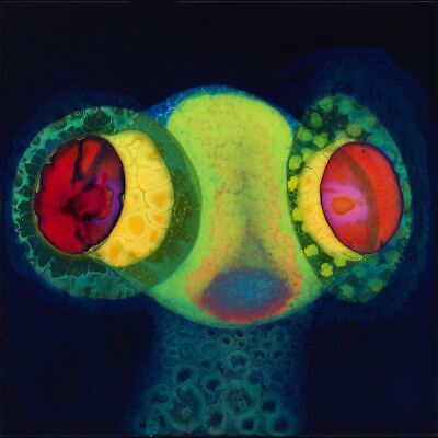 Osees - Sorcs 80 - Vinyl - New