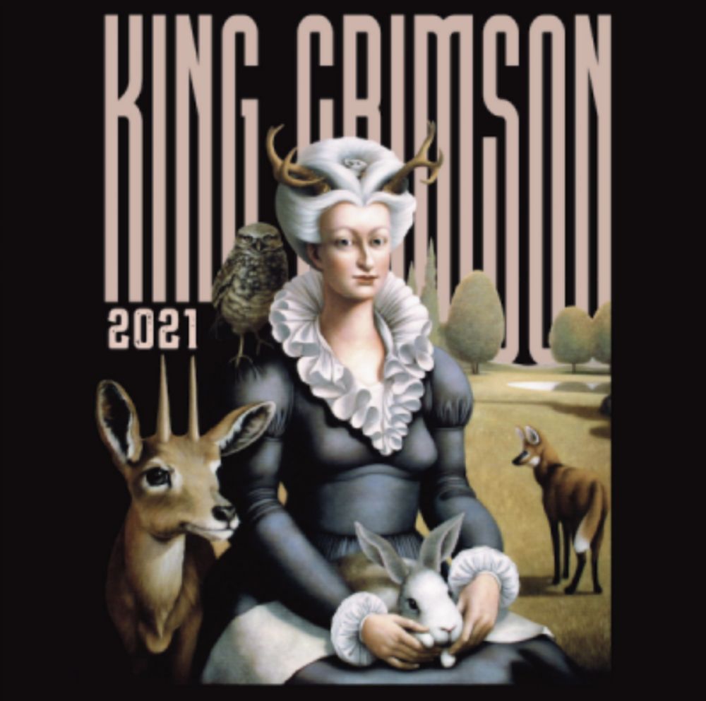 King Crimson - Music Is Our Friend: Live In Washington And Albany, 2021 (2CD) - CD - New