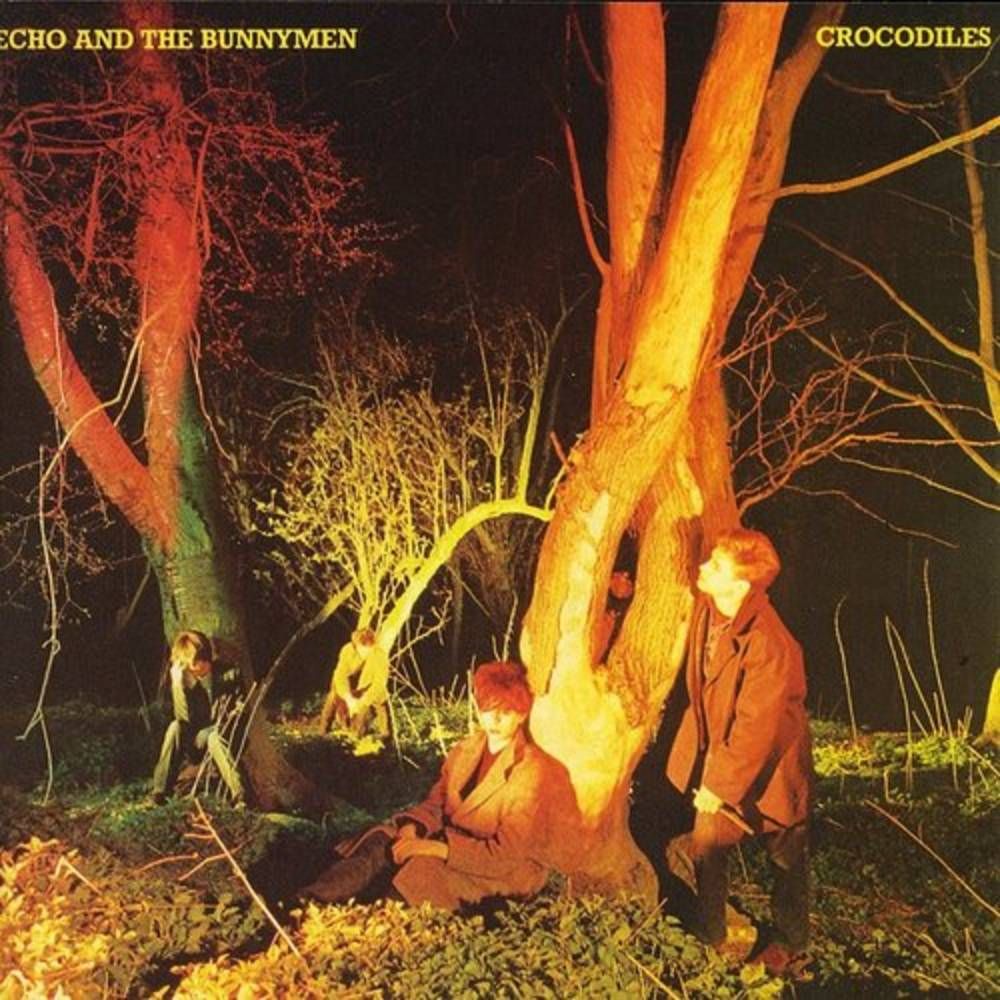 Echo And The Bunnymen - Crocodiles (2021 180g remastered reissue) - Vinyl - New