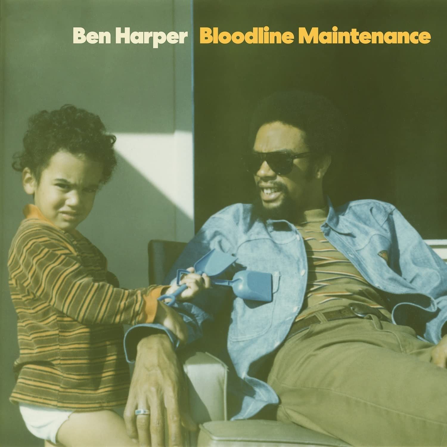 Harper, Ben - Bloodline Maintenance - CD - New
