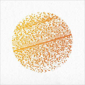 Gathering - Beautiful Distortion (Orange Marbled vinyl gatefold) - Vinyl - New