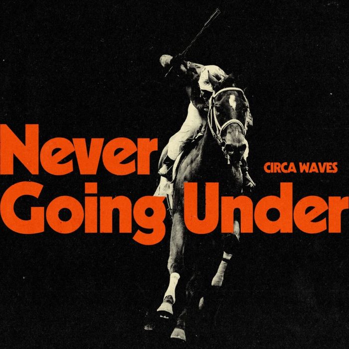 Circa Waves - Never Going Under - CD - New