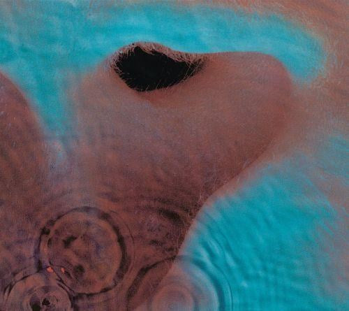 Pink Floyd - Meddle (2016 reissue) - CD - New