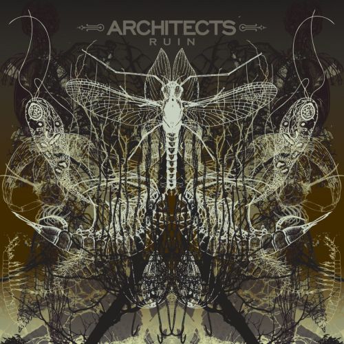 Architects - Ruin - CD - New
