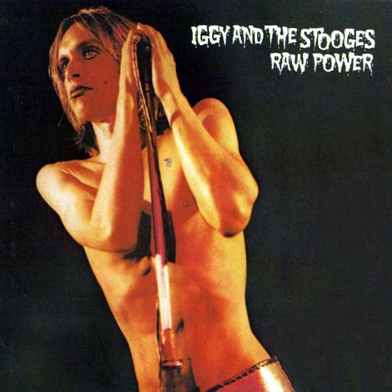 Stooges (Iggy And The Stooges) - Raw Power (2017 Special Ed. 2LP gatefold remastered reissue) (Euro.) - Vinyl - New