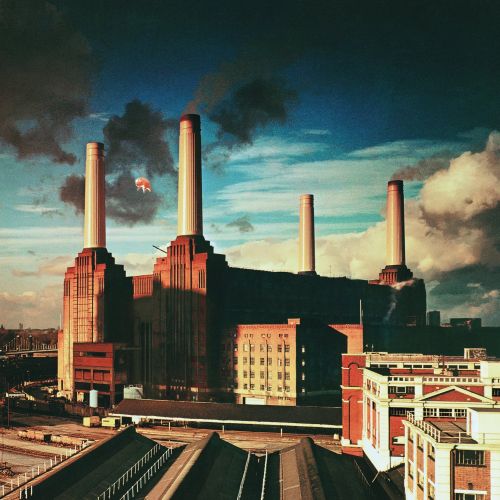 Pink Floyd - Animals (180g gatefold 2016 U.K. reissue) - Vinyl - New