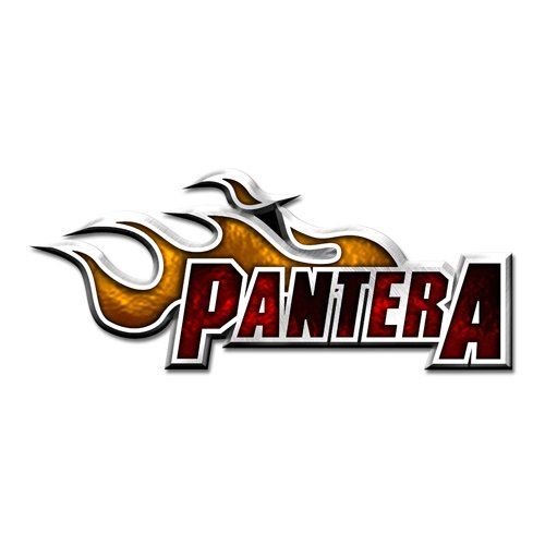 Pantera - Enamel Pin Badge - Flame Logo